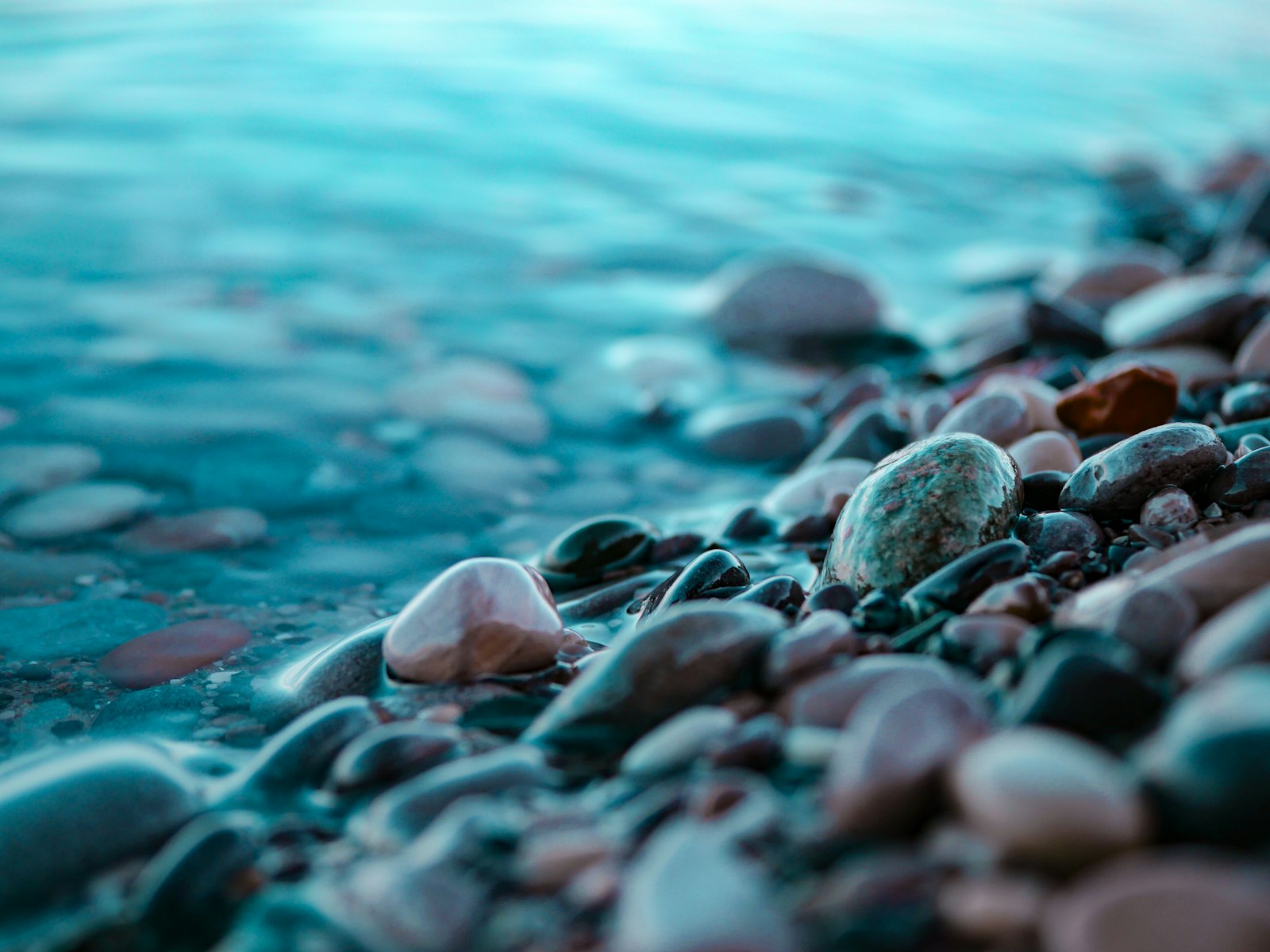 Smooth pebbles resting at the edge of calm, clear water