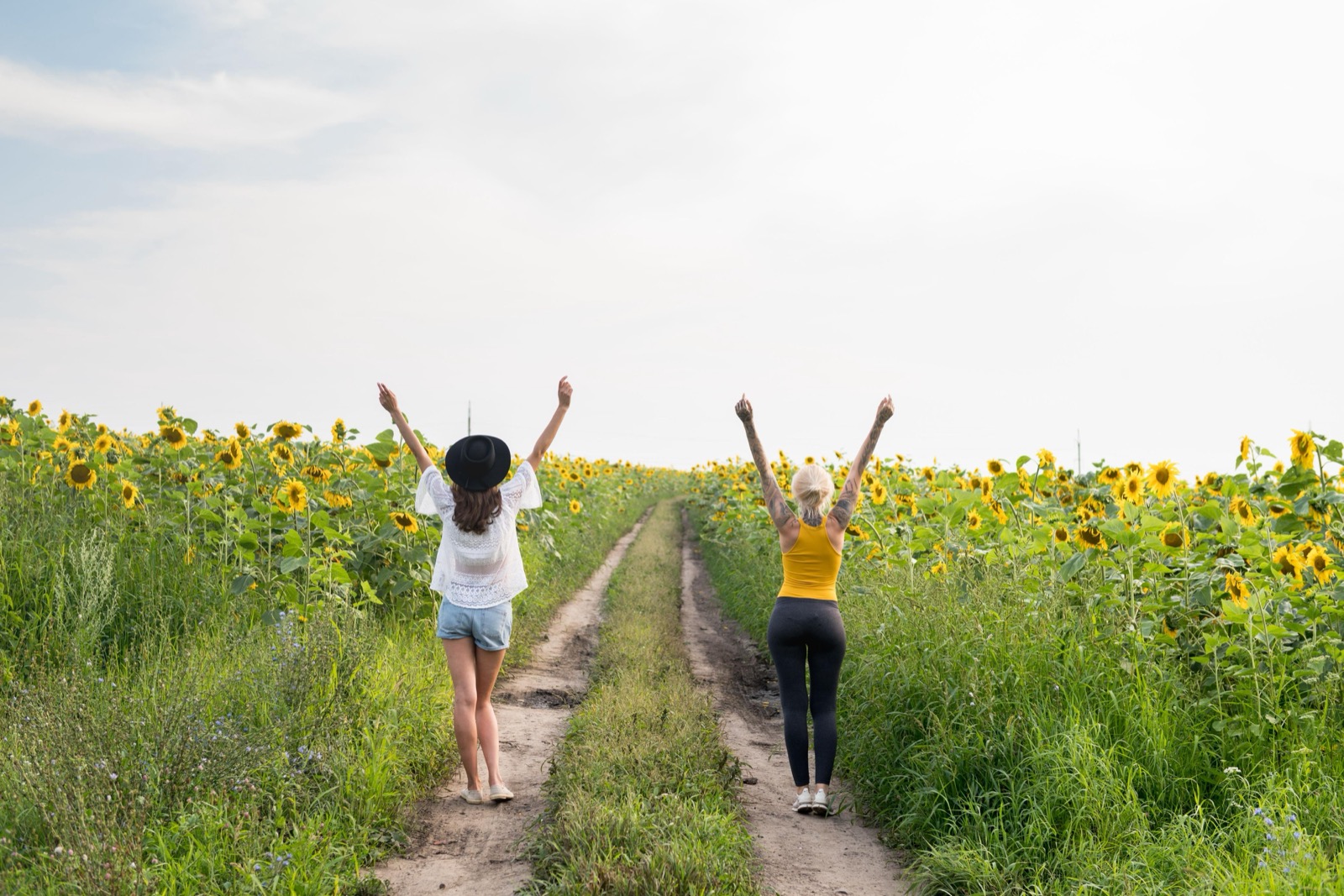 Two people walking through a sunflower field with their arms raised toward the sky